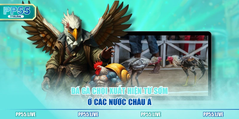 Đá gà chọi xuất hiện từ sớm ở các nước châu Á