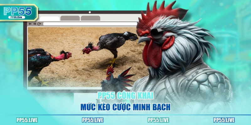 PP55 công khai mức kèo cược minh bạch