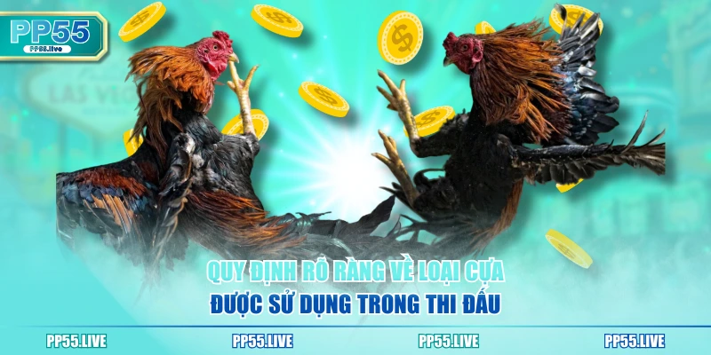 Quy định rõ ràng về loại cựa được sử dụng trong thi đấu