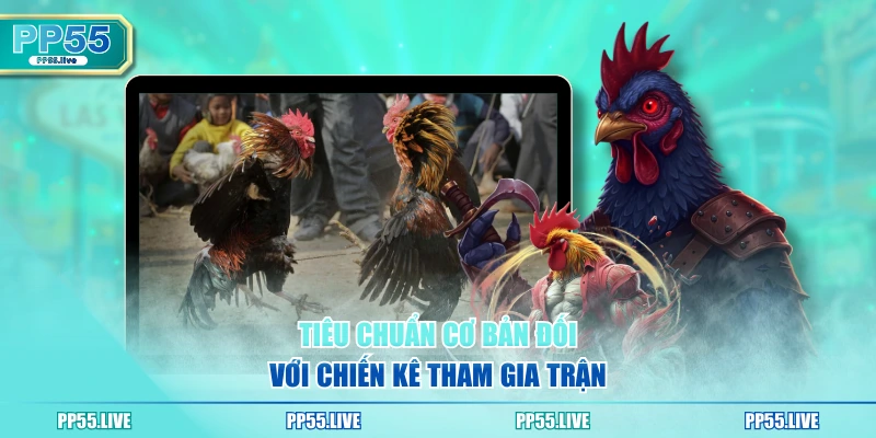 Tiêu chuẩn cơ bản đối với chiến kê tham gia trận