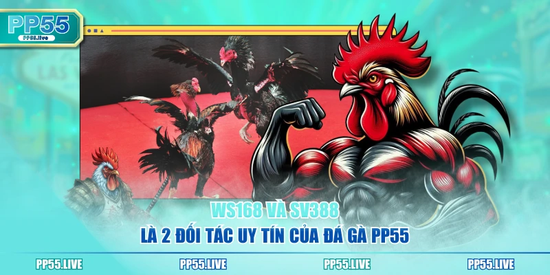 WS168 và SV388 là 2 đối tác uy tín của đá gà PP55